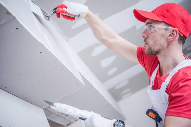 Best Drywall Removal and Disposal  in Fort Benton, MT